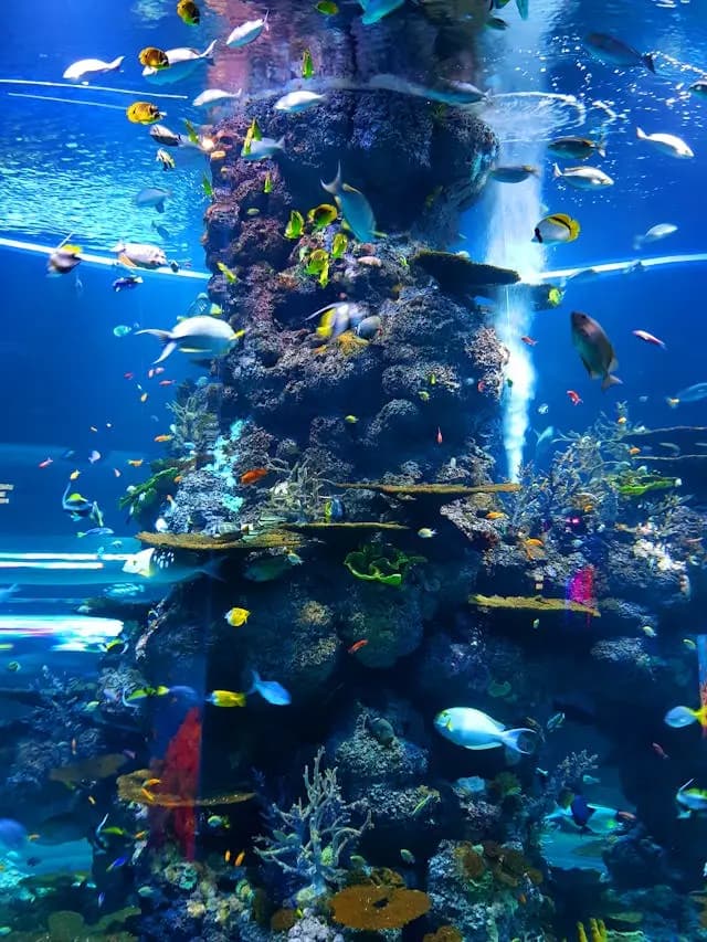 Attractions in Putrajaya