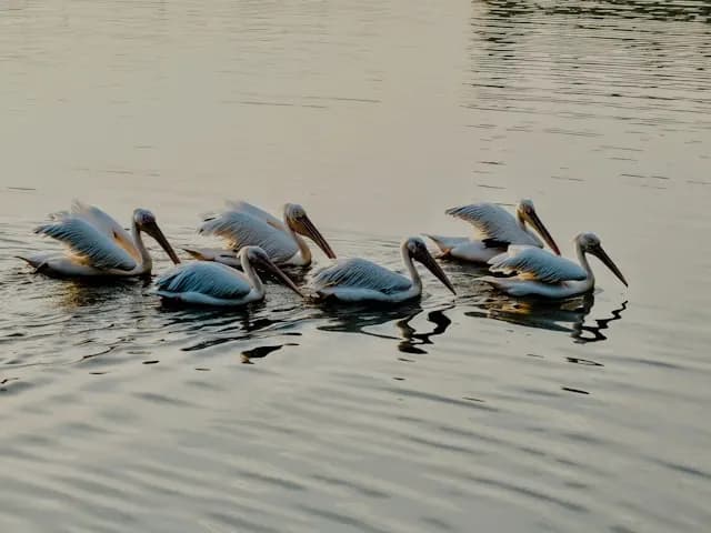 Parks & Gardens in Putrajaya