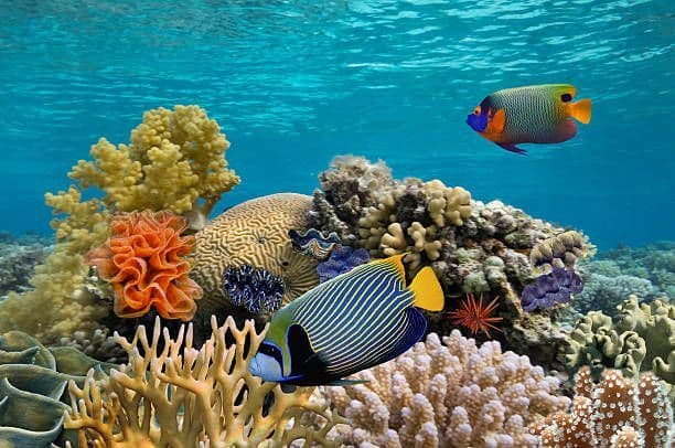 Aquaria KLCC