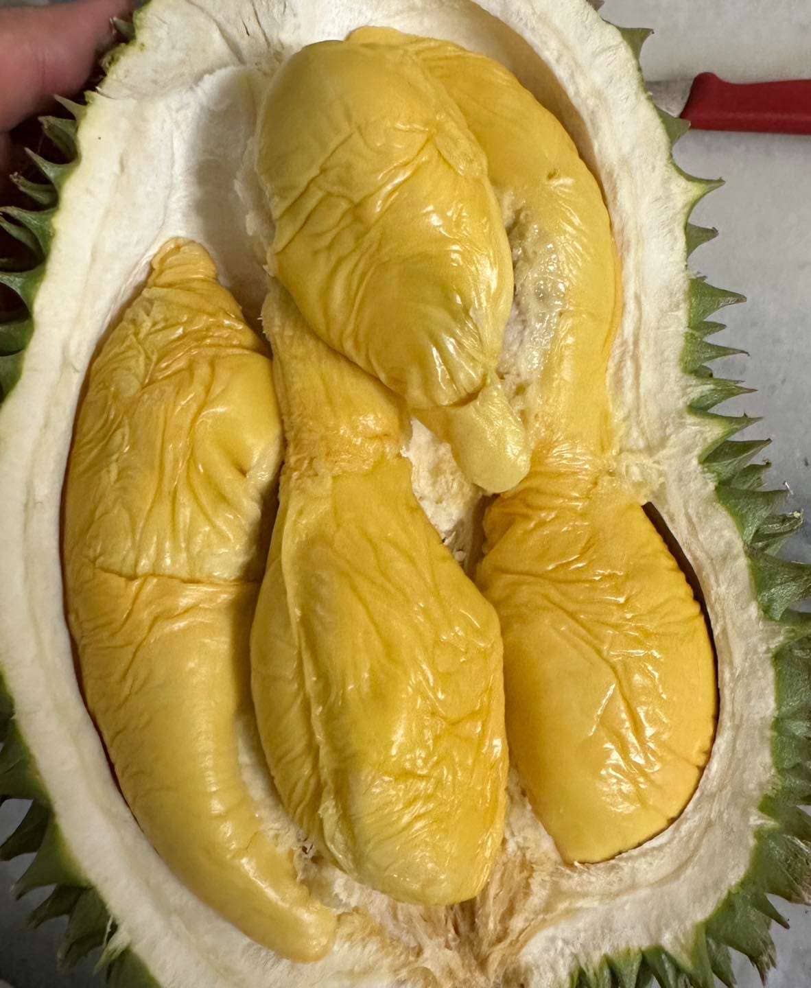 A Day in Penangs Countryside Exploring Balik Pulau and Teluk Kumbar