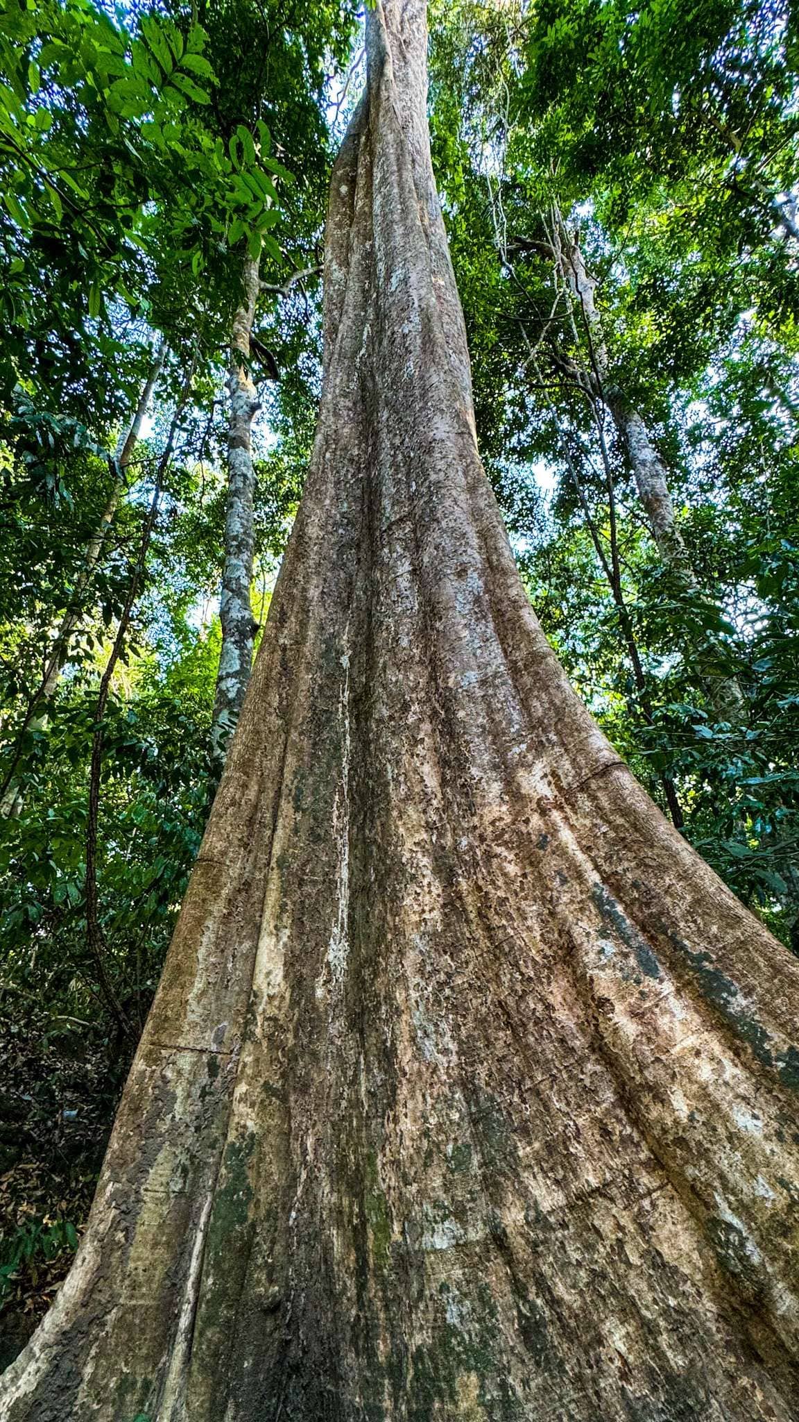 Green Trail with Rumah Idea Langkawi