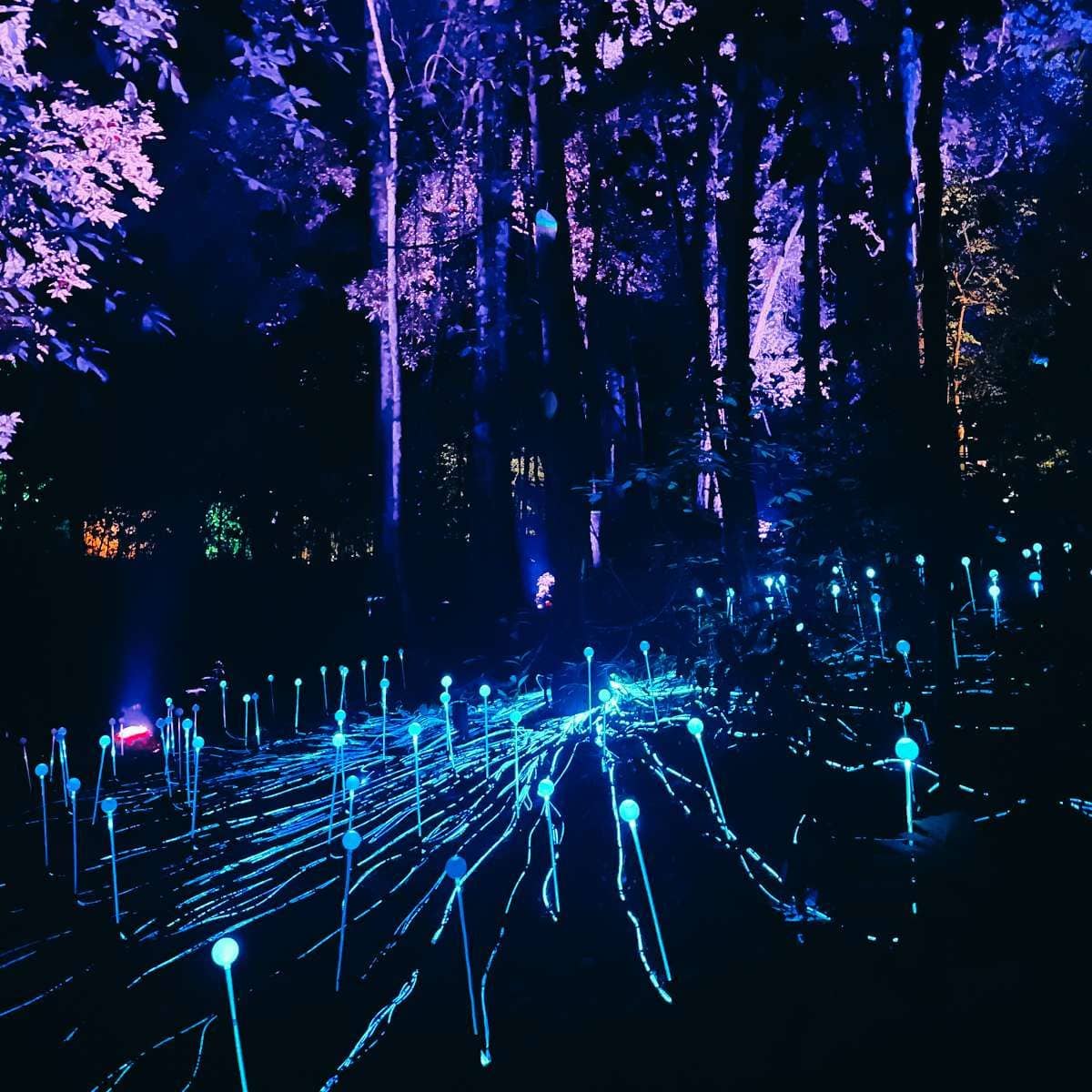 Kid-Friendly Itinerary For First-timer 1 Day