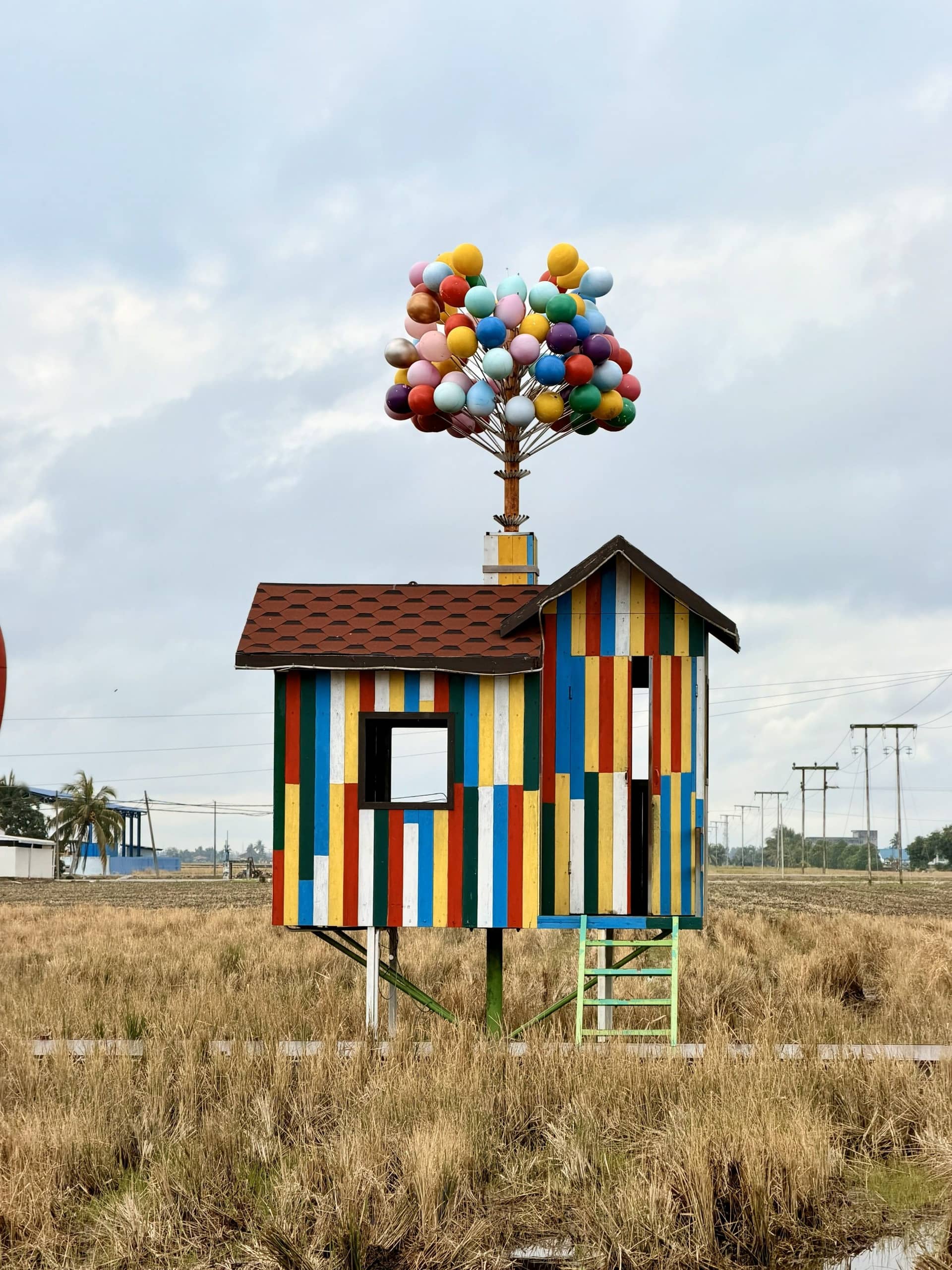 Scenic Sekinchan Paddy Fields and Local Food Trail