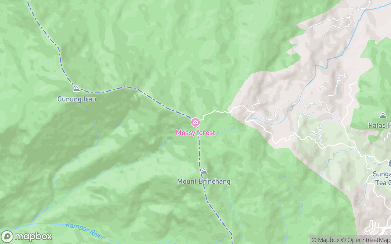 Map showing the location of Mossy Forest