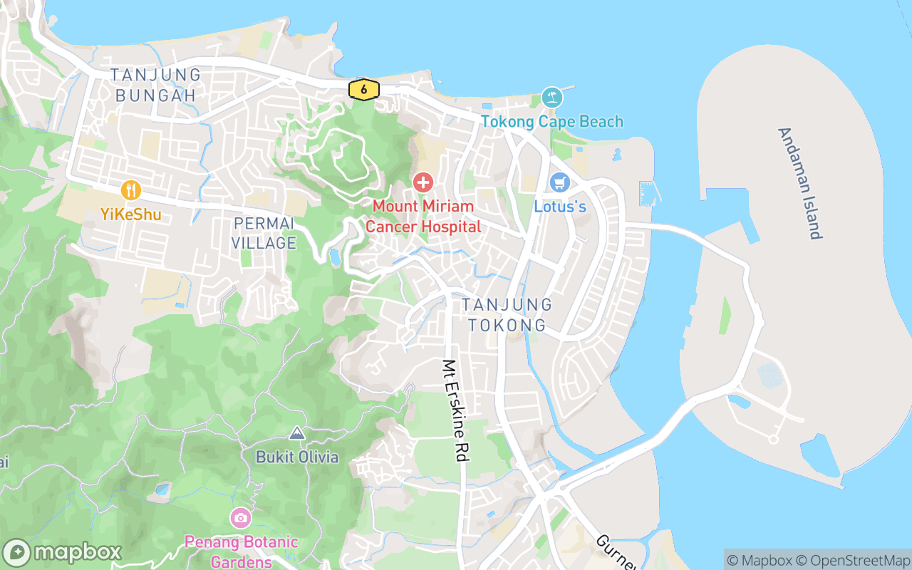 Map showing the location of Fatty Loh Chicken Rice