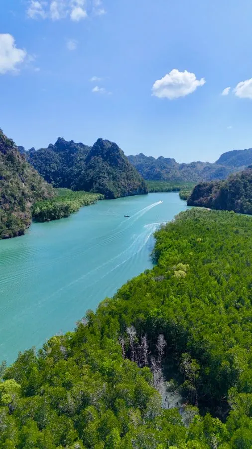Kilim Geoforest: A Mangrove Boat Tour